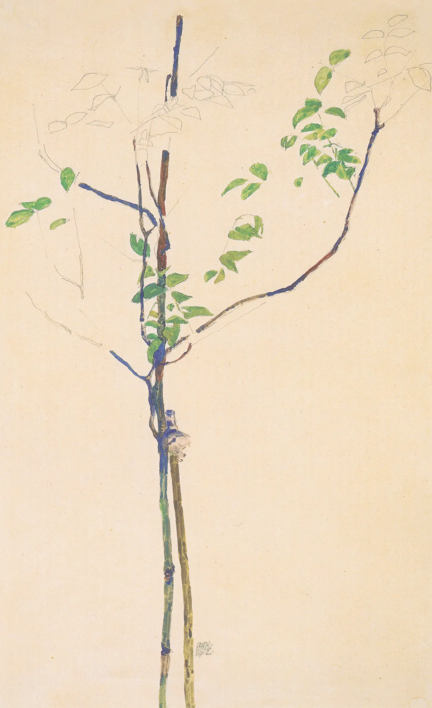 Pencil and gouache drawing, Little Tree with Support, Junges Bäumchen mit Stütze, by Egon Schiele, 1912. Albertina, Vienna. A delicate study of a small, fragile deciduous tree with thin brown branches and sparse green leaves, propped up by a straight wooden support pole on its left. The tree rises directly from the bottom edge of the vertical sheet without any visible horizon or ground line against a plain, light paper background. Signed and dated in the lower center. Kallir 1213.